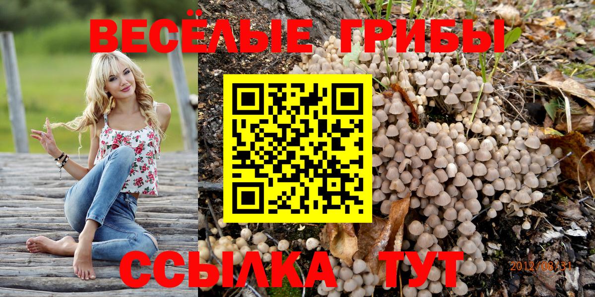 Галлюциногенные грибы MAGIC MUSHROOMS  Вход с VPN  купить наркотик  Подольск  Псилоцибиновые грибы мицелий 
